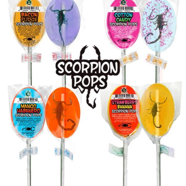 Scorpion Pops | Real Scorpions Encased in A Candy Sucker - Image 3