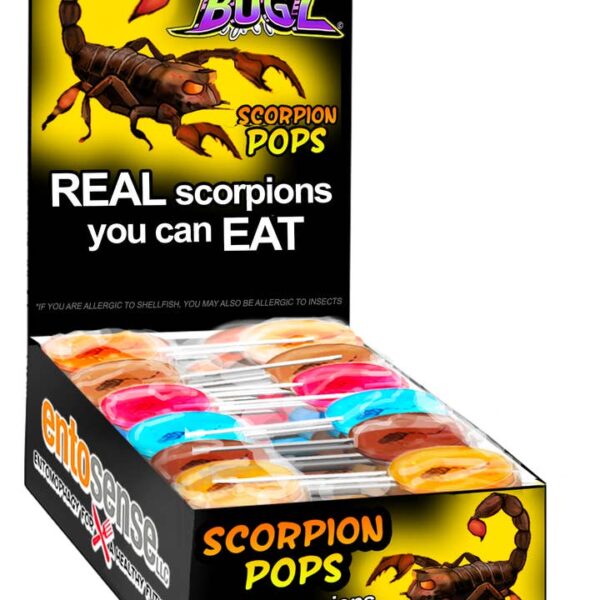 Scorpion Pops | Real Scorpions Encased in A Candy Sucker - Image 4